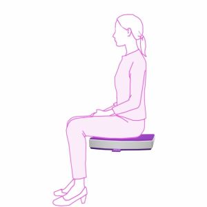 iCare Seat Cushion - Image 2