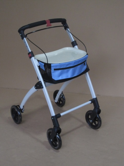 Ellipse Indoor Walker